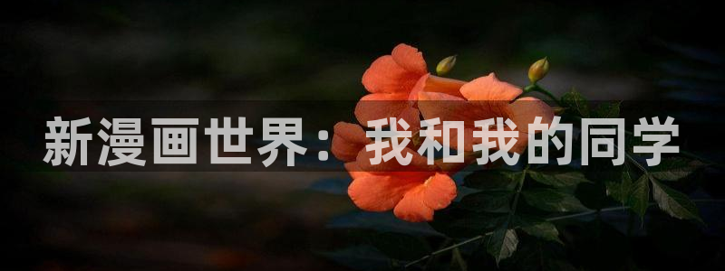 歪歪漫画无翼鸟：新漫画世界：我和我的同学